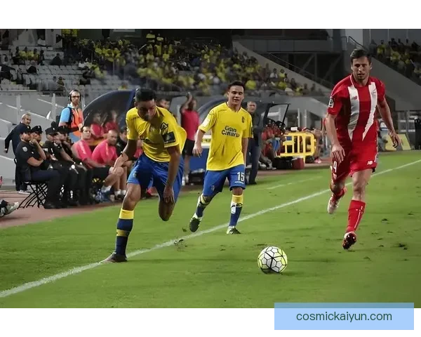 德甲波兰斯基主帅近期带队表现稳健